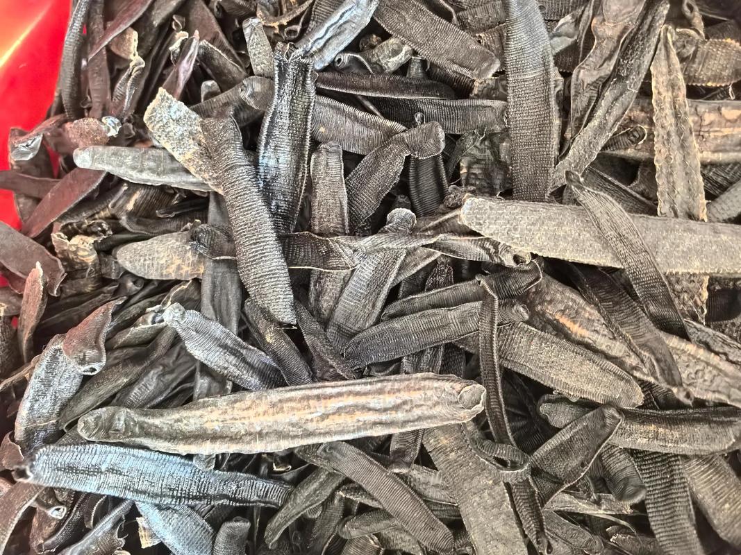 2025年干蚂蝗价格会涨还是跌？-图1