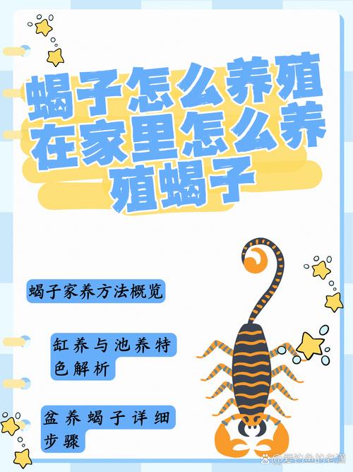 昆明蝎子养殖如何致富？技术要点有哪些？-图1