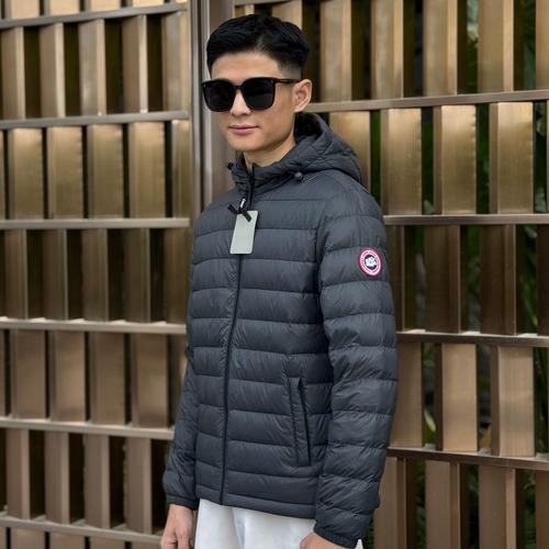 2025年大鹅最新价格多少钱一斤？-图1