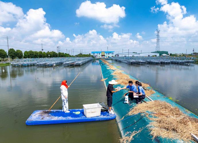 大闸蟹养殖技术与视频，哪里能学？-图1