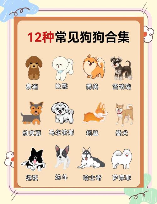 育肥狗选什么品种最合适？-图3