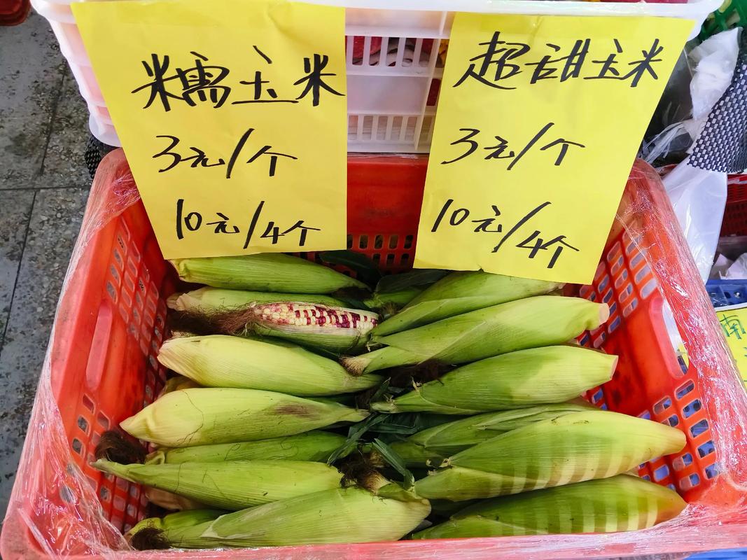 绥化今日玉米最新价格多少?-图1 绥化今日玉米最新价格多少?-图1