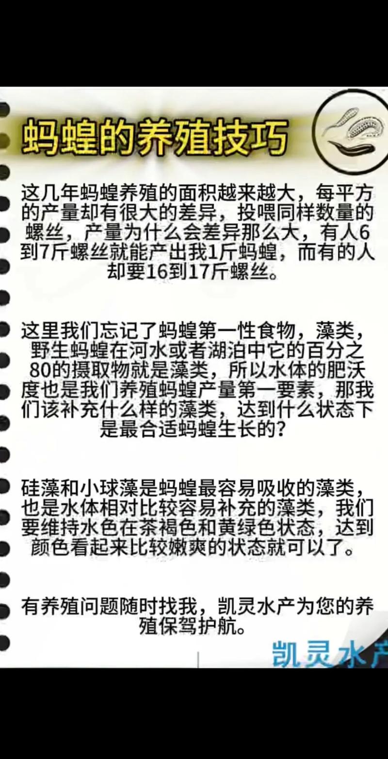 水蛭养殖技术在线阅读，如何快速掌握？-图1