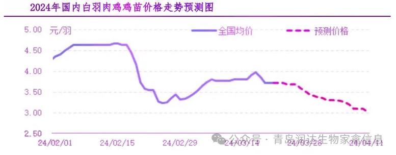 肉鸡价格未来会涨还是跌？-图1
