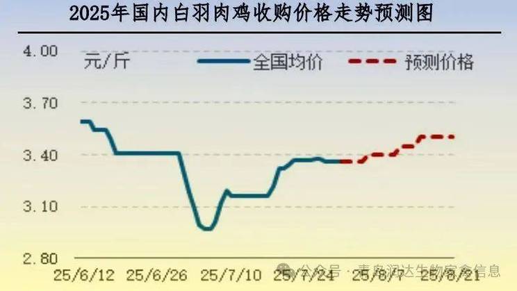肉鸡价格未来会涨还是跌？-图2