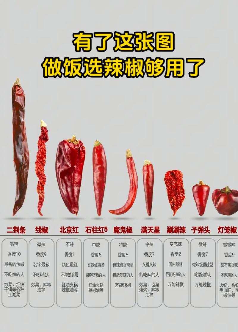 种植干辣椒什么品种好?-图1 种植干辣椒什么品种好?-图1