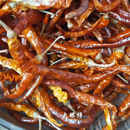 种植干辣椒什么品种好?-图2 种植干辣椒什么品种好?-图2