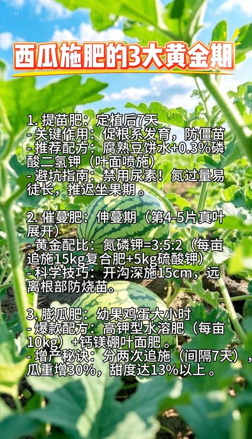 温室西瓜水肥管理技术要点有哪些?-图1 温室西瓜水肥管理技术要点有哪些?-图1