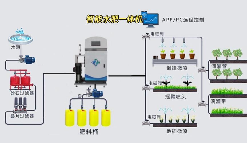 温室西瓜水肥管理技术要点有哪些?-图2 温室西瓜水肥管理技术要点有哪些?-图2