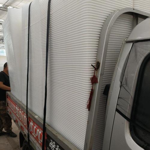 蝎子养殖技术视频怎么学？关键步骤有哪些？-图3