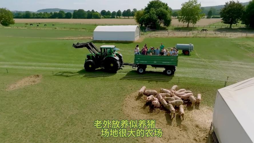 美国生猪养殖技术视频有何核心要点?-图1 美国生猪养殖技术视频有何核心要点?-图1