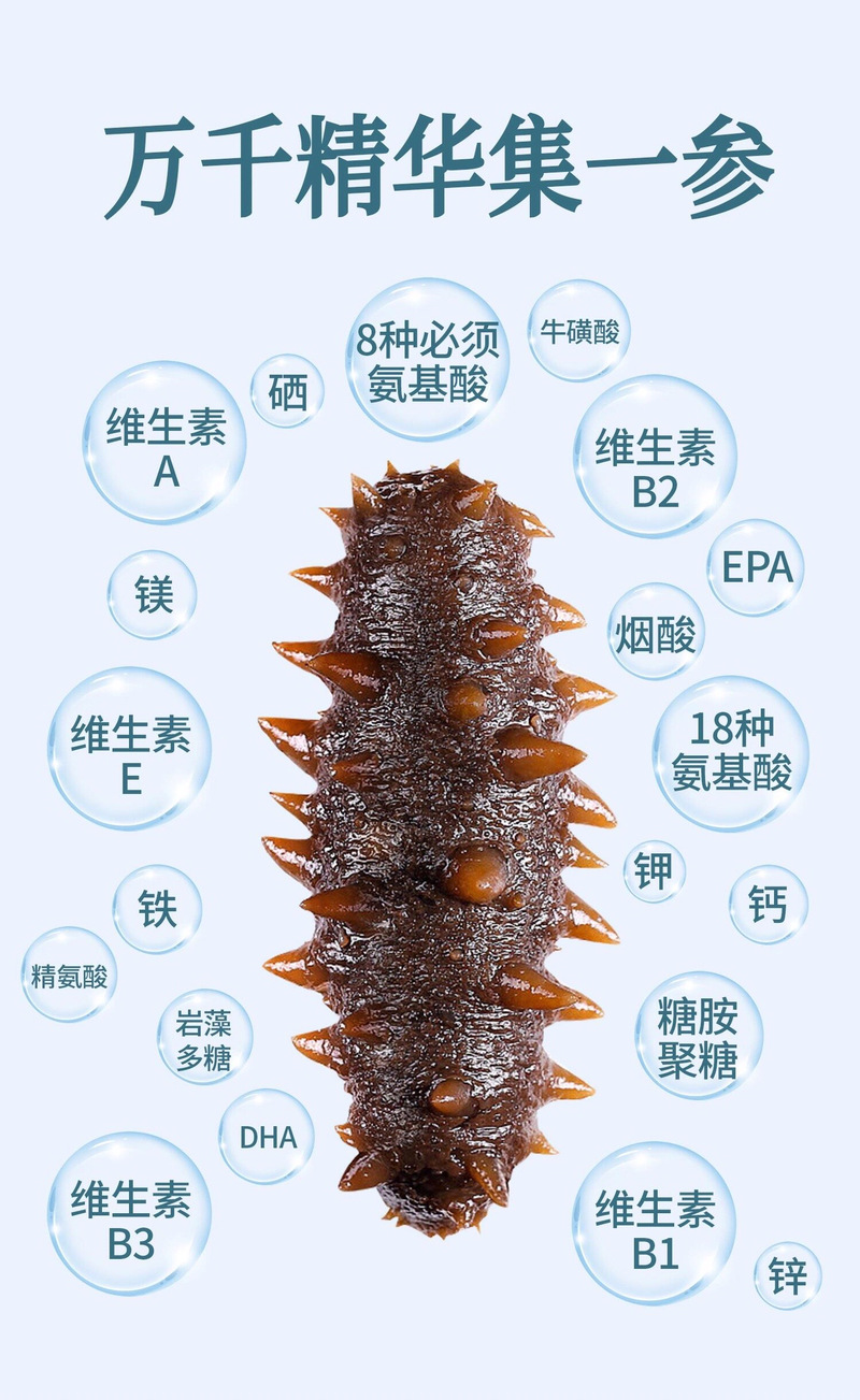 虾饲料、海参价格与马尾有何关联?-图2 虾饲料、海参价格与马尾有何关联?-图2