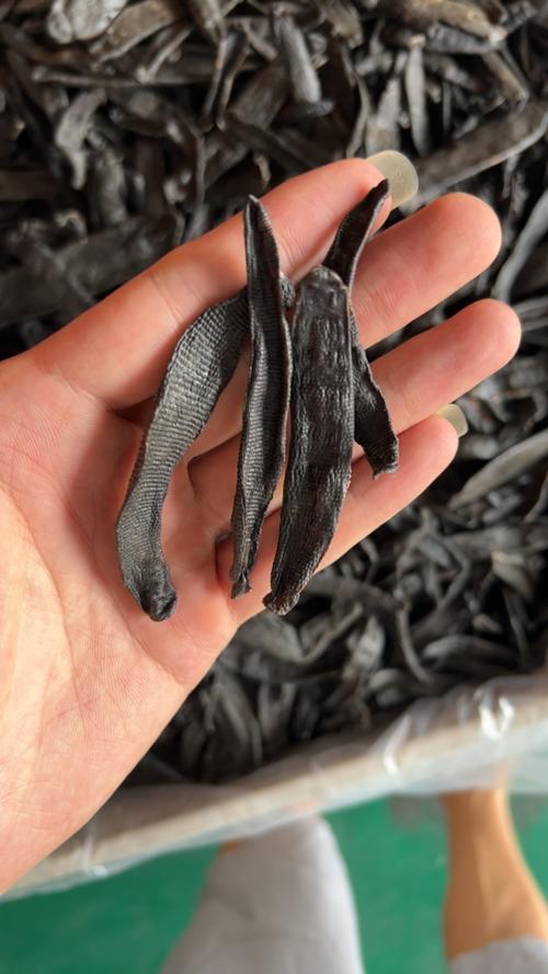 2025年水蛭干品价格会涨还是跌？-图2