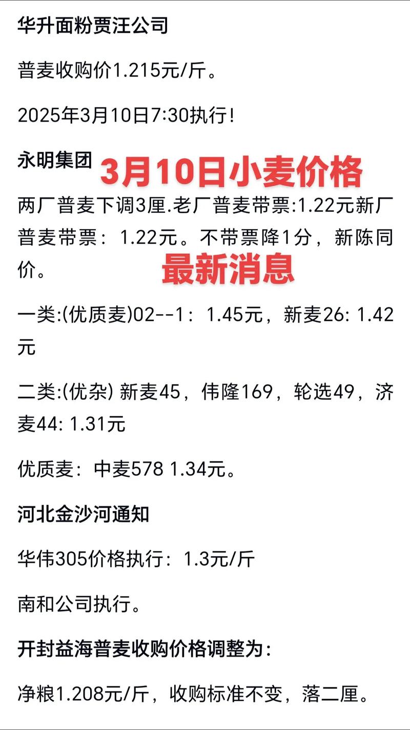 年前麦价最新行情怎么样？-图1