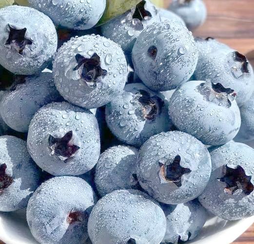 晚熟蓝莓哪个品种最好吃？-图2