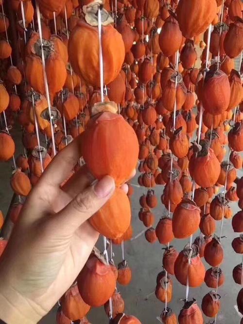 韩国柿子品种有哪些？-图1