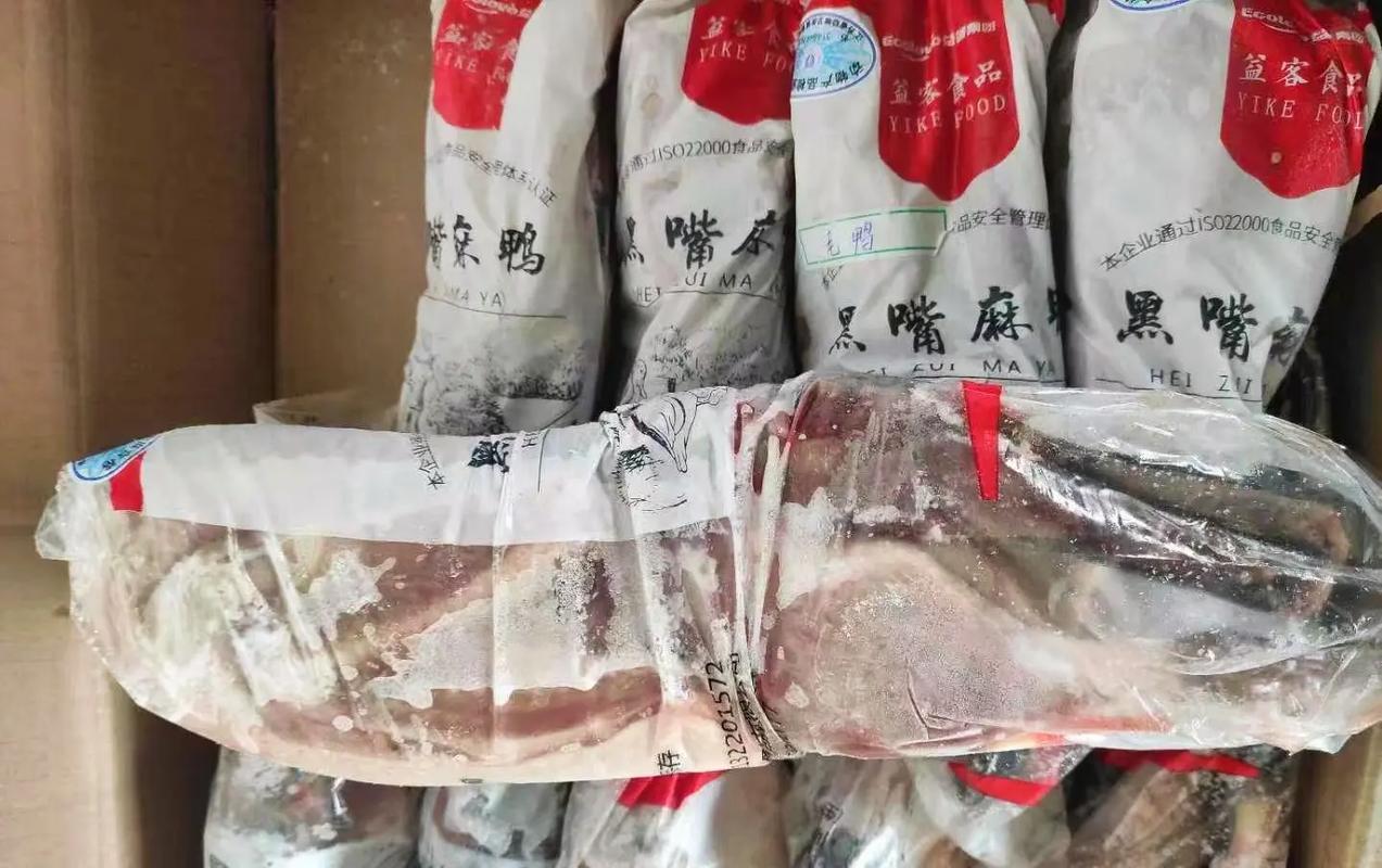 黑嘴鸭有哪些常见品种？-图2