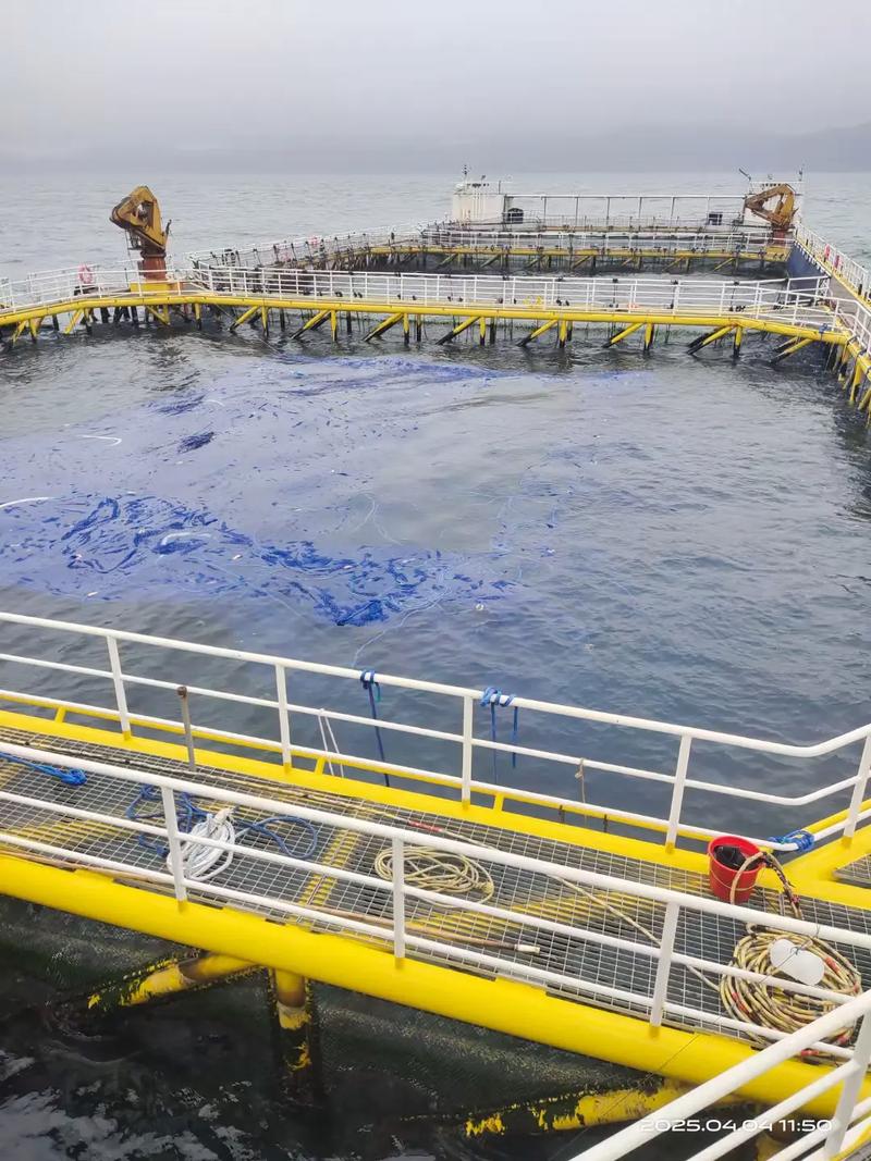 深海网箱养殖技术现状如何?-图3 深海网箱养殖技术现状如何?-图3