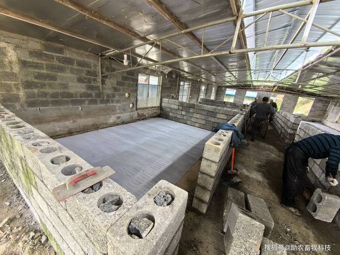 农村发酵养殖技术如何实用高效？-图1