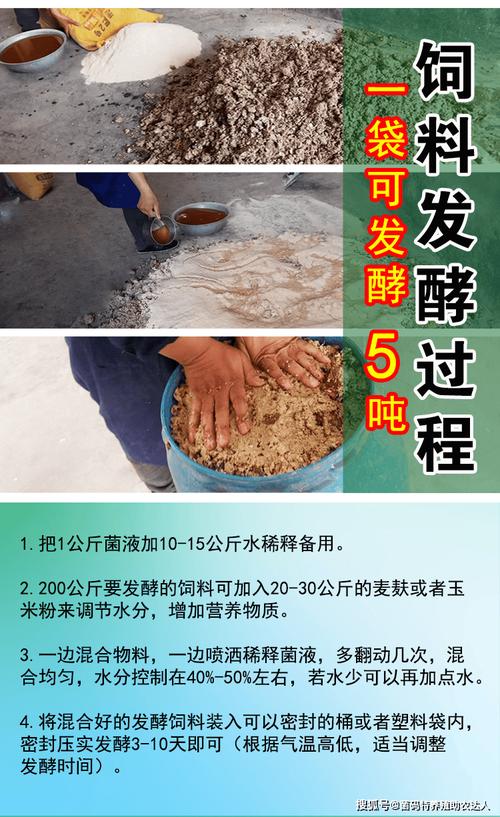 农村发酵养殖技术如何实用高效？-图2