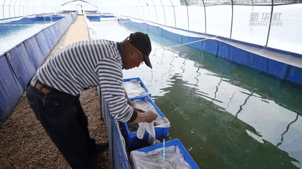 江苏水蛭养殖技术基地有何核心优势？-图3