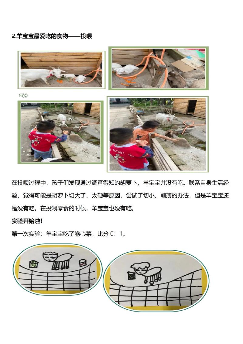 品种羊保护计划有哪些具体措施?-图2 品种羊保护计划有哪些具体措施?-图2