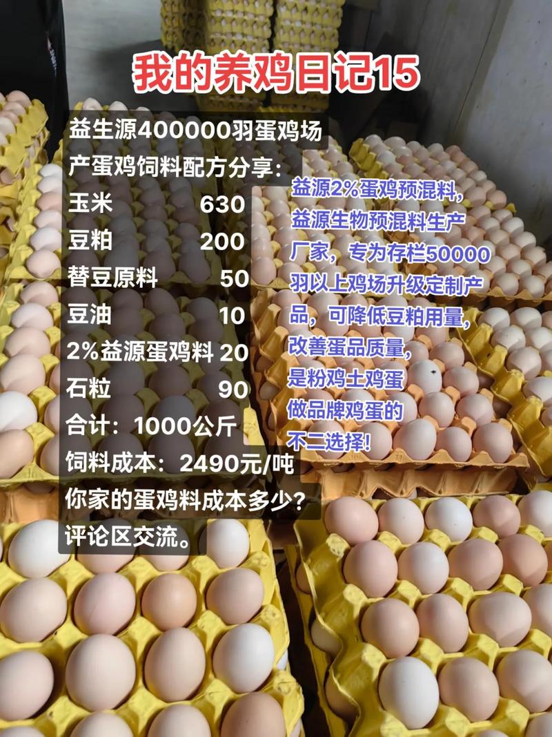 养鸡技术配方视频有哪些关键点？-图3