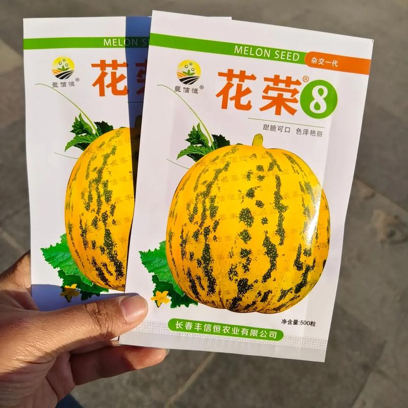 露地种香瓜籽，什么品种好？-图2