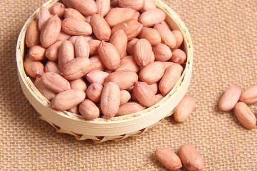 夏播花生品种有哪些?-图2 夏播花生品种有哪些?-图2