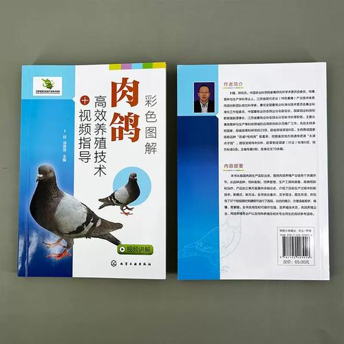 肉鸽养殖技术视频，新手如何快速掌握？-图2