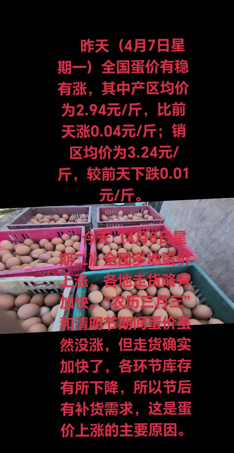招远鸡蛋价格今日多少钱一斤?-图3 招远鸡蛋价格今日多少钱一斤?-图3