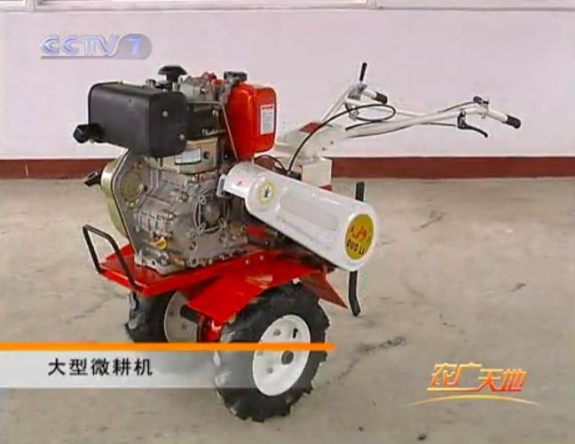 致富技术有哪些？农广天地教你种啥能赚钱？-图3