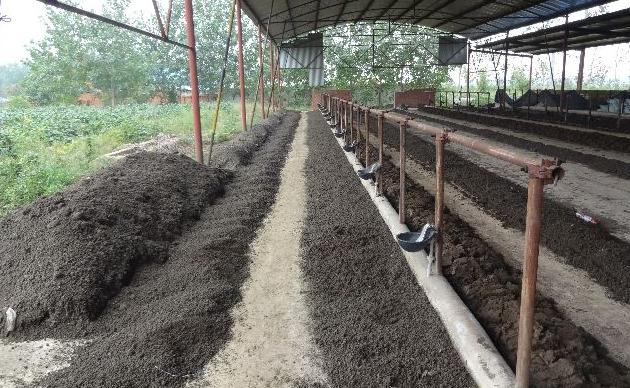 污泥处理蚯蚓养殖技术-图3