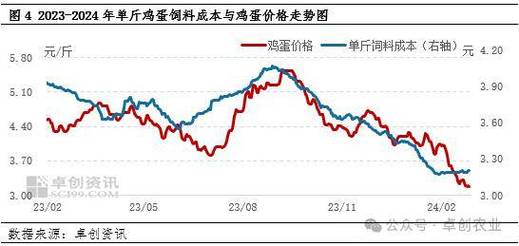 鸡蛋价格今年走势如何？究竟是涨是跌？未来行情会怎样？-图2