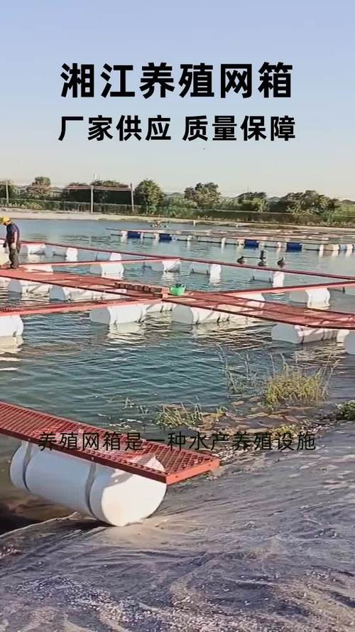 河虾网箱养殖技术视频怎么学？-图2