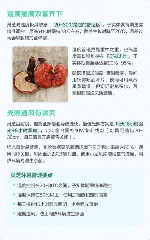 灵芝袋料种植视频怎么学?-图3 灵芝袋料种植视频怎么学?-图3