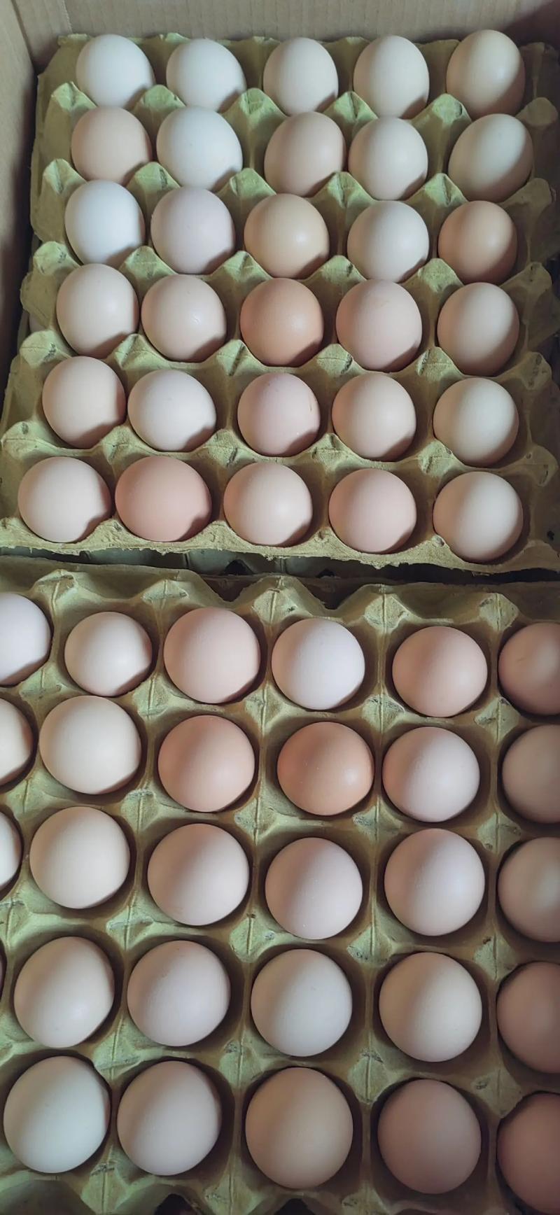 河南登封今日鸡蛋价格多少钱一斤？-图3