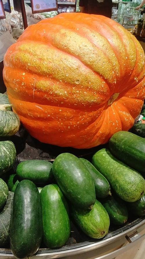 哪种南瓜最大又最好吃?-图1 哪种南瓜最大又最好吃?-图1