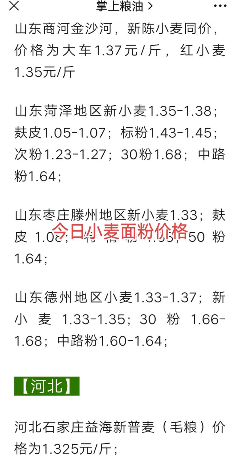 今日河南洛阳小麦价格多少钱？-图1