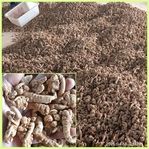 2025鲜三七价格会涨还是跌？-图3