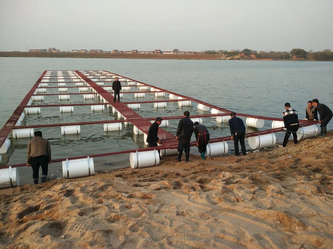 网箱养水蛭技术视频要点有哪些？-图2