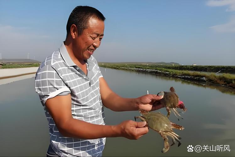 室内真能养出大闸蟹？技术难点在哪？-图3