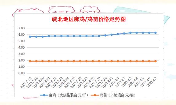 2025徐州鸡苗价格多少钱一只？-图1
