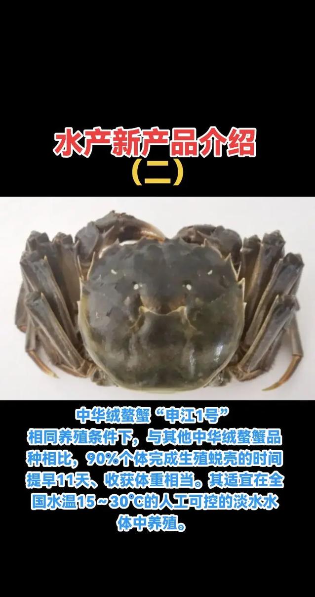 2025年将有哪些水产新品种问世？-图1