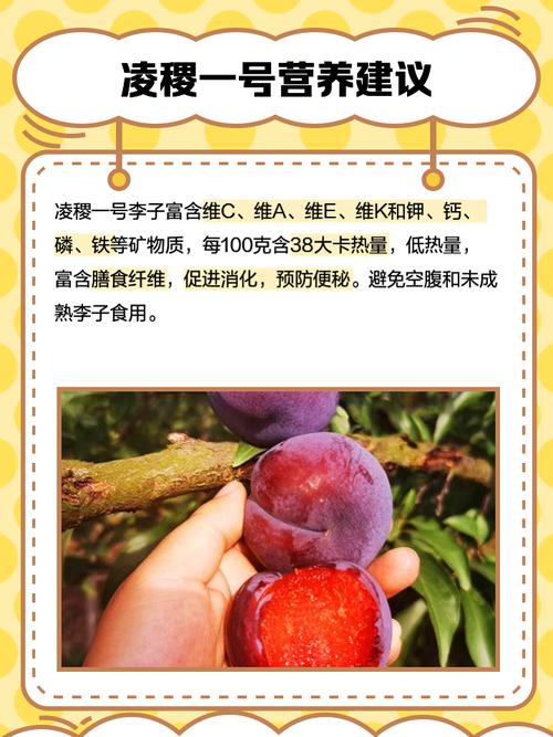 李子品种有哪些？看图识品种！-图1