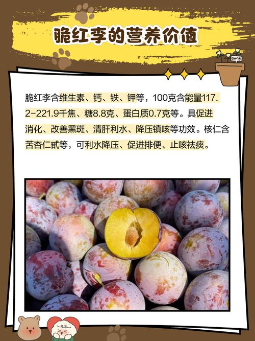 李子品种有哪些？看图识品种！-图3