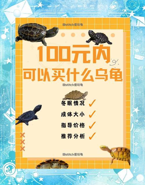 2025年食用龟价格会涨还是跌？-图1