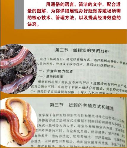蚯蚓养殖技术有哪些关键要点？-图2