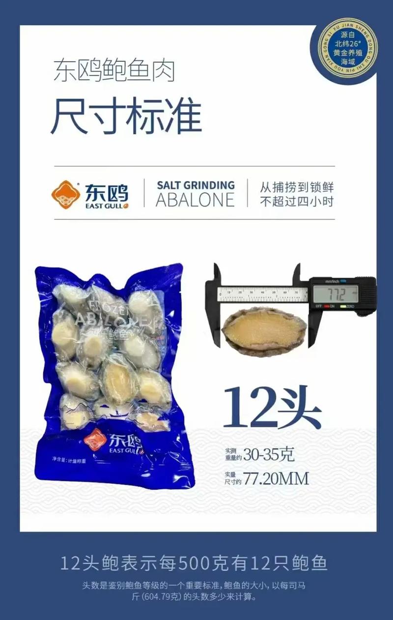 4规格鲍鱼苗价格多少钱一斤？-图1