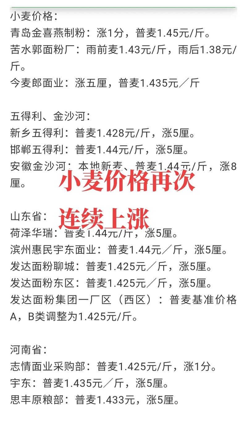 各地麦子最新行情价格如何？-图1